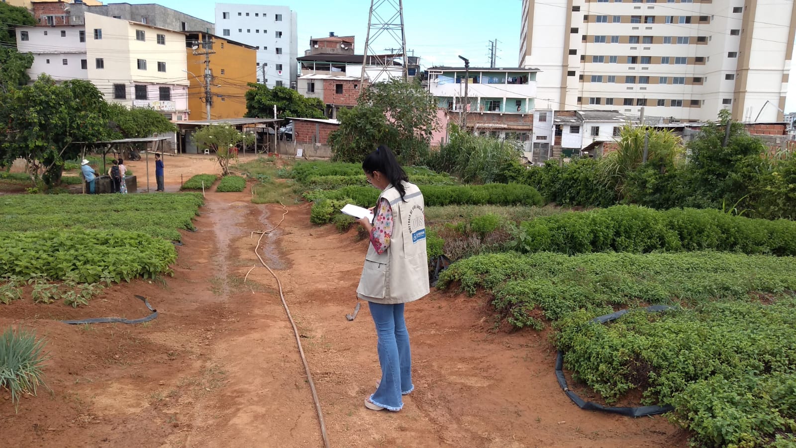 Monitoramento de horta urbana - Pernambués