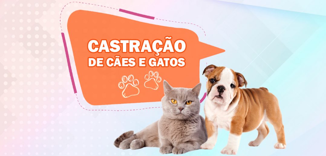 castracao_caes_e_gatos_2018