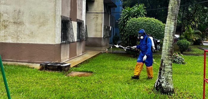 Ações preventivas e educativas contra o Aedes e animais peçonhentos seguem em Salvador; Confira a programação do final de semana