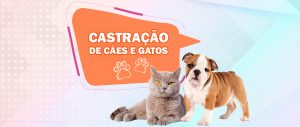 castracao_caes_e_gatos_2018